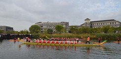 61900265 继续浏览
