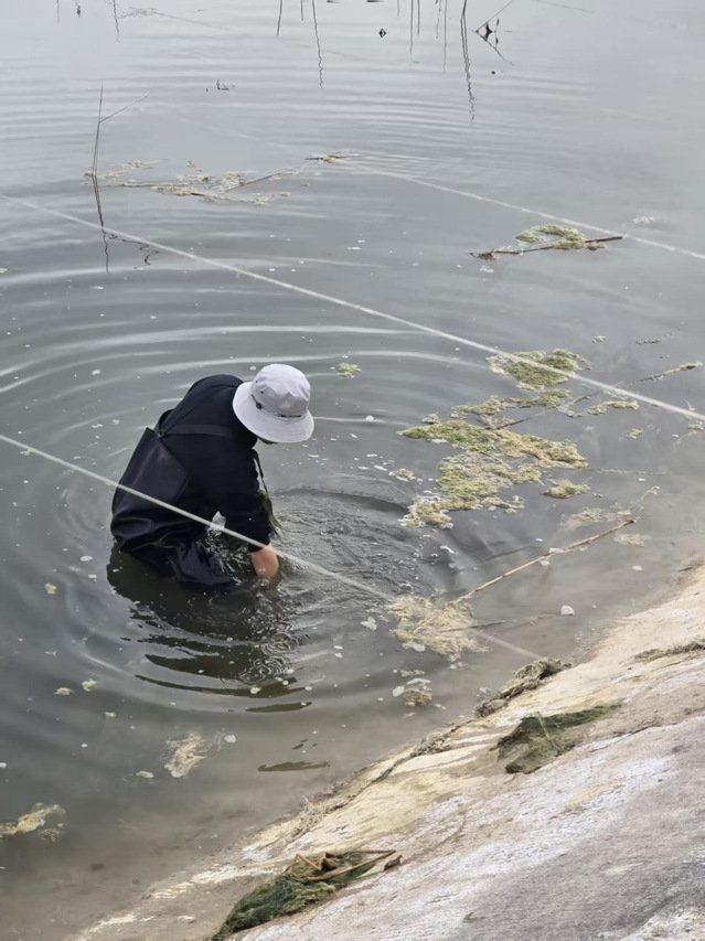 浏览次数:10