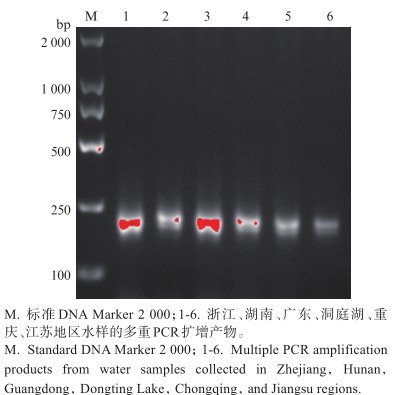 开发高灵敏度