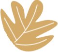 后因水域环境变化(水位上升