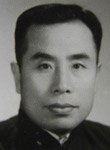 杨文