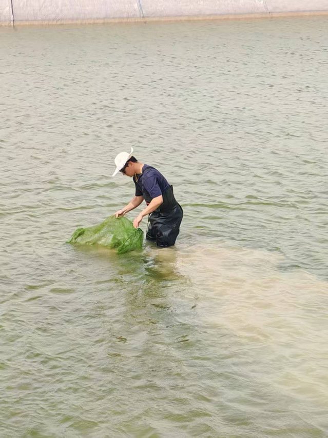 秋日的新疆生产建设兵团第三师红旗农场