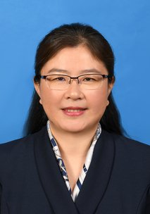 发布日期